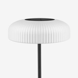 Indoor-Outdoor Lamp