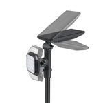 Emery leopard spotlights