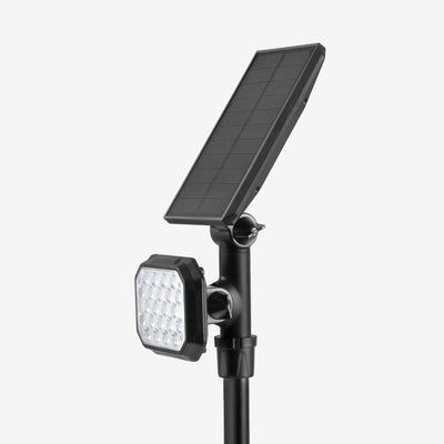 Emery leopard spotlights