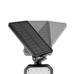 Emery leopard spotlights