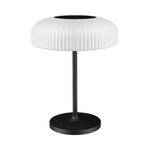 Indoor-Outdoor Lamp