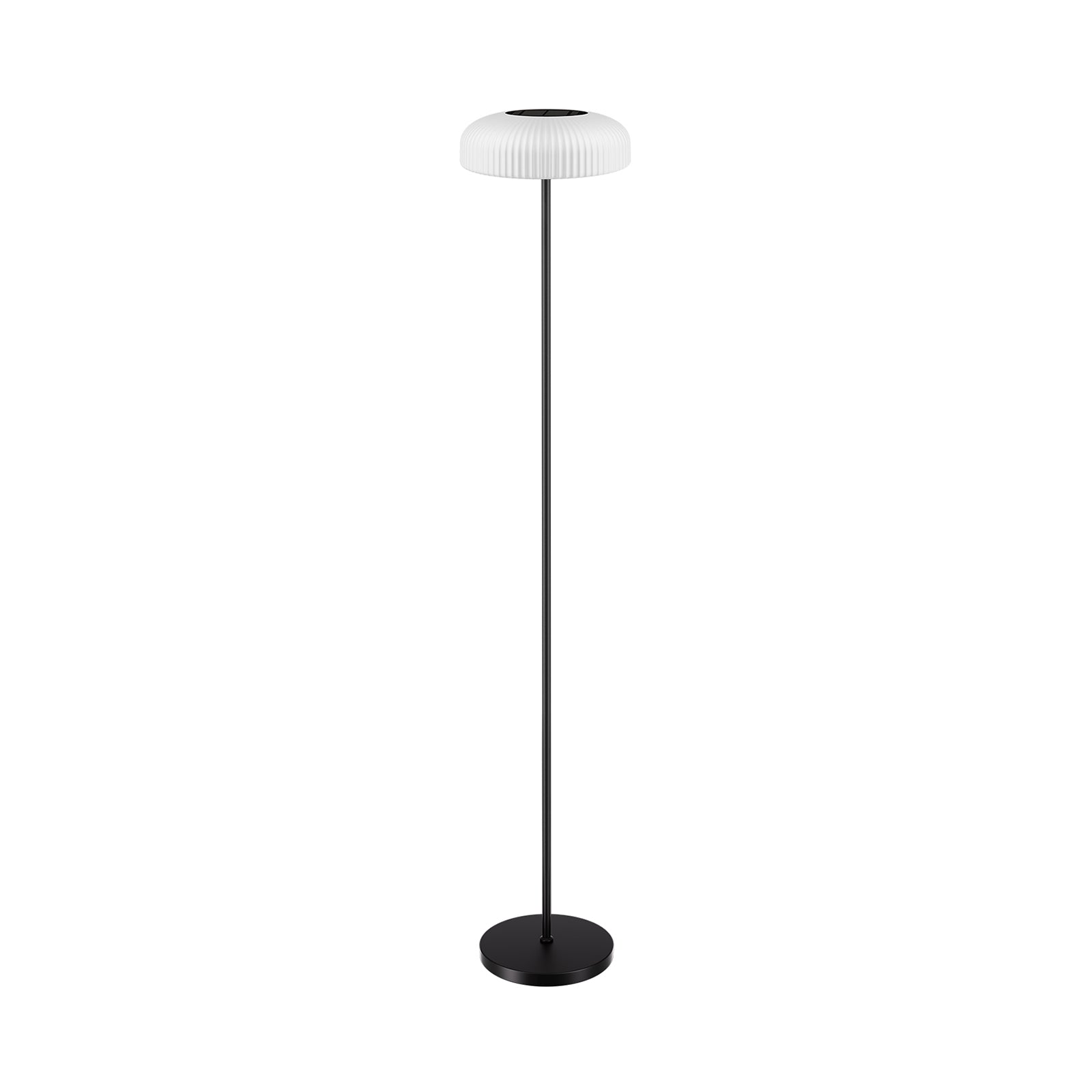 Indoor-Outdoor Lamp