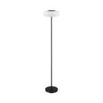 Indoor-Outdoor Lamp