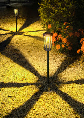 Solar Pathway Light