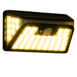 Motion Wall Light